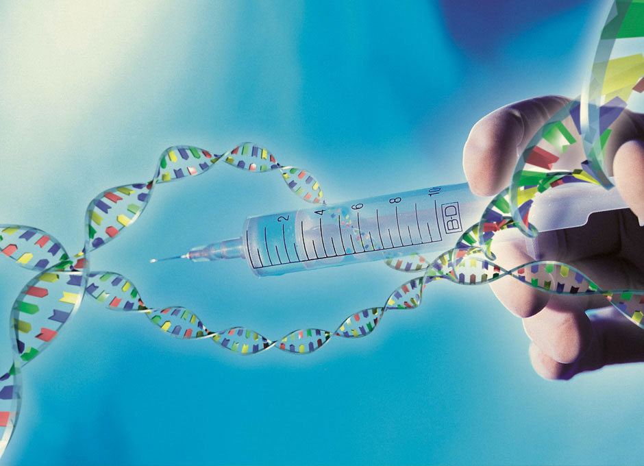 Ingeniería Genética — Dsalud